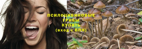 МДПВ Зерноград